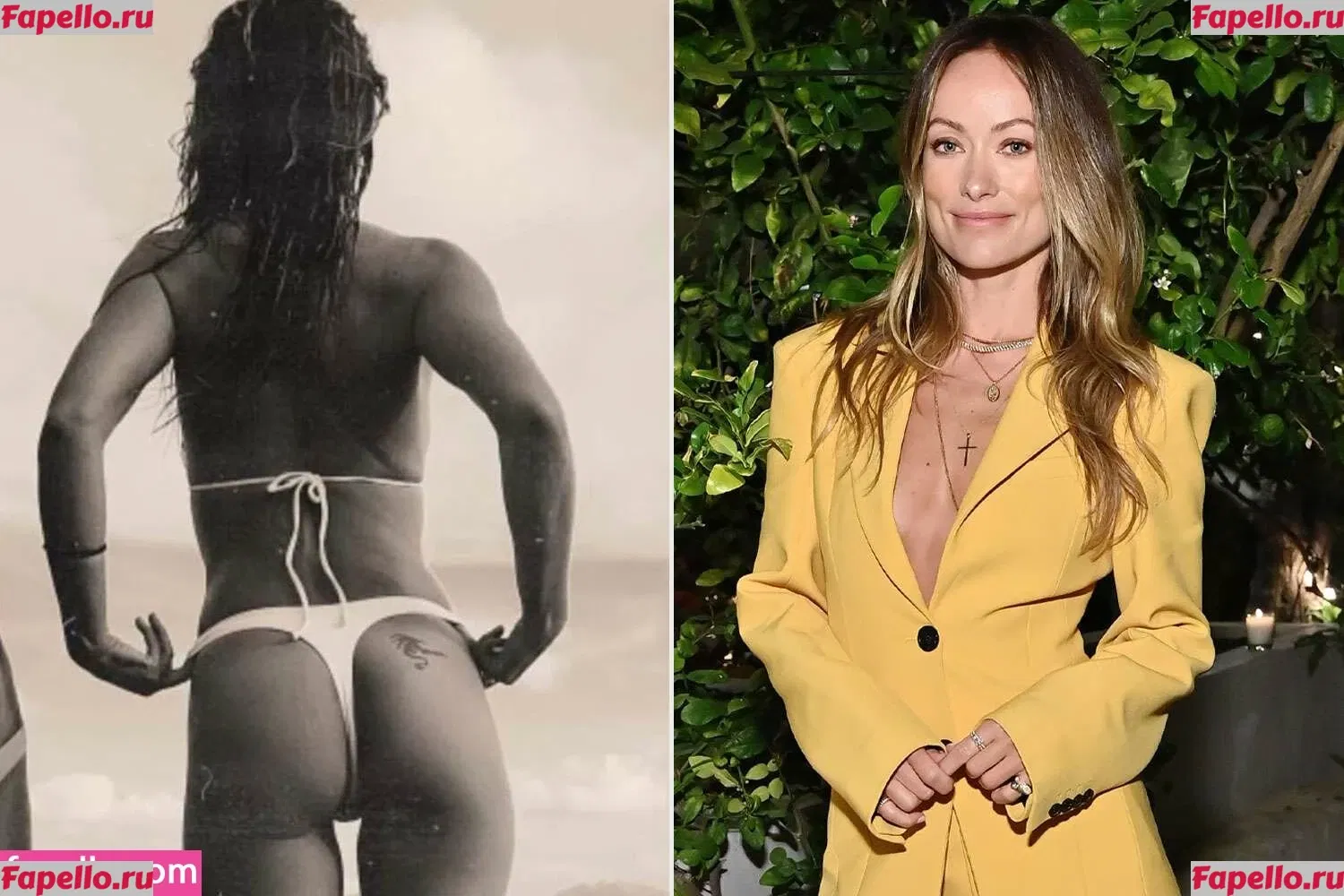 Olivia Wilde Onlyfans Photo Gallery 