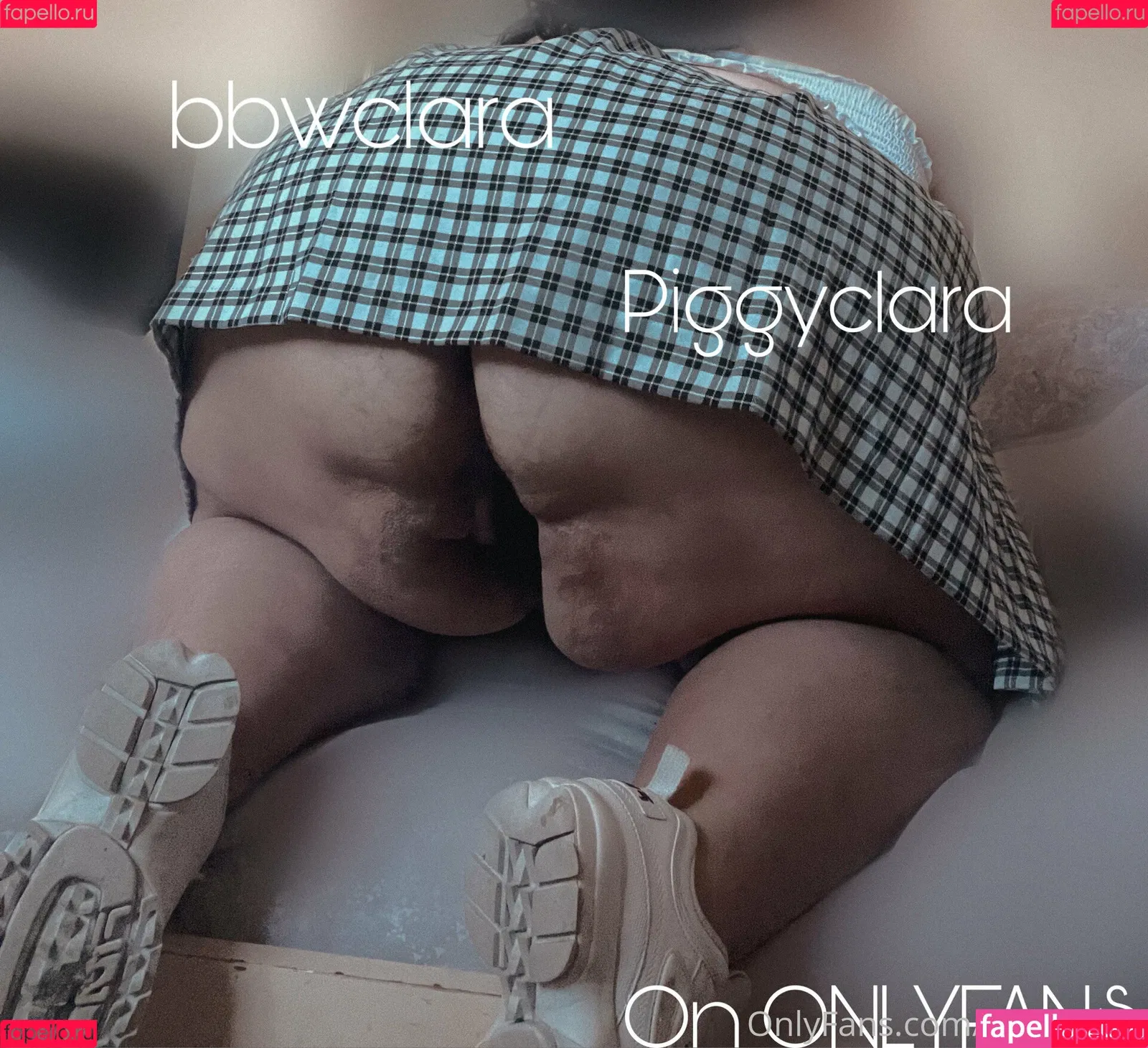 piggyclara Onlyfans Photo Gallery 