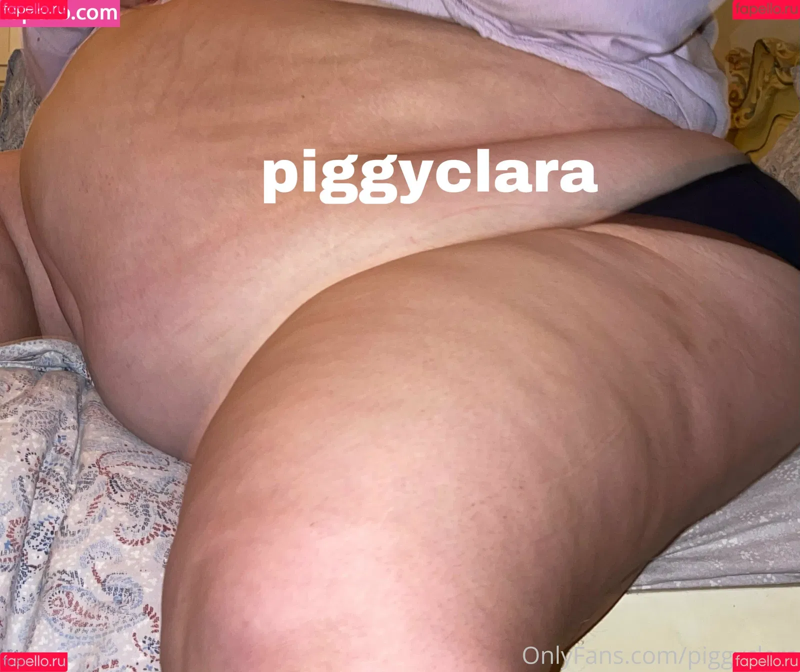 piggyclara Onlyfans Photo Gallery 