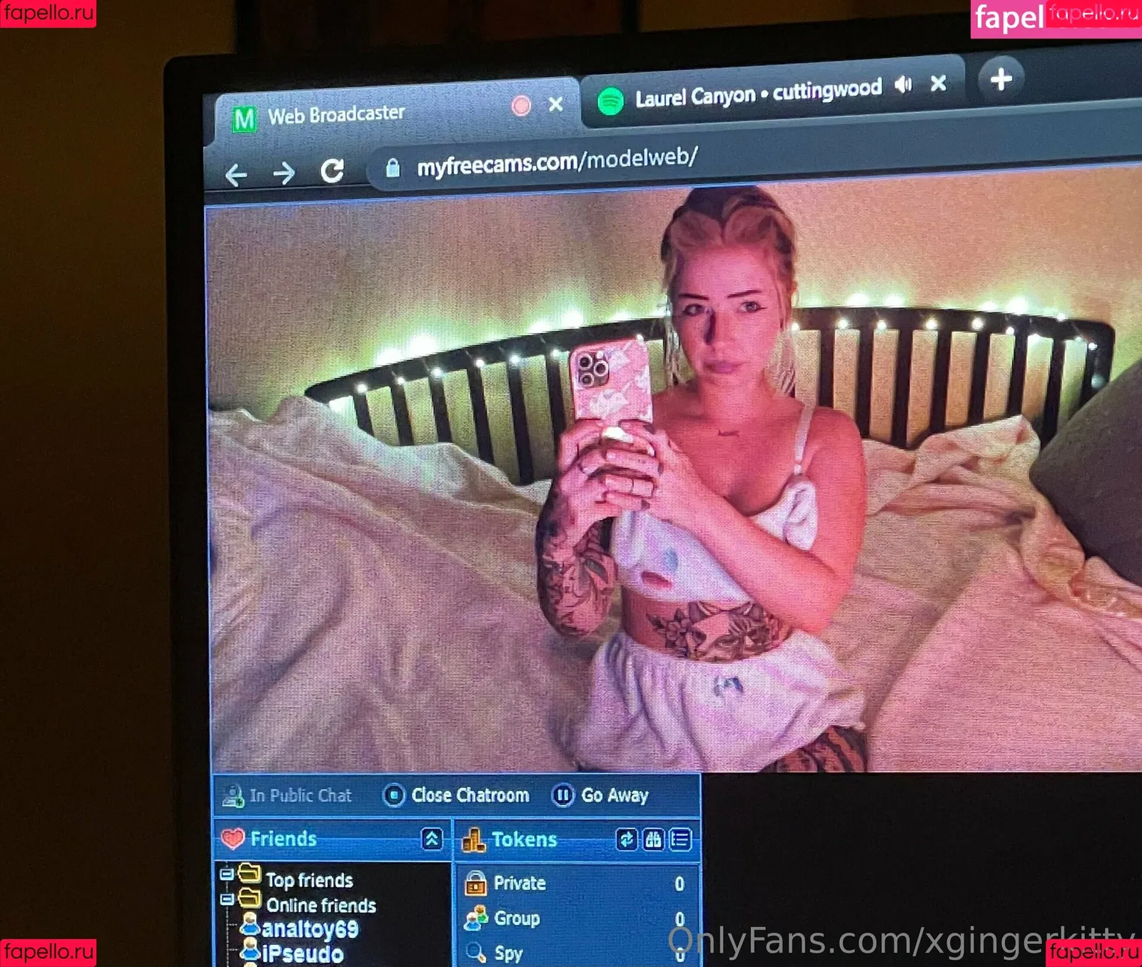 xgingerkitty Onlyfans Photo Gallery 