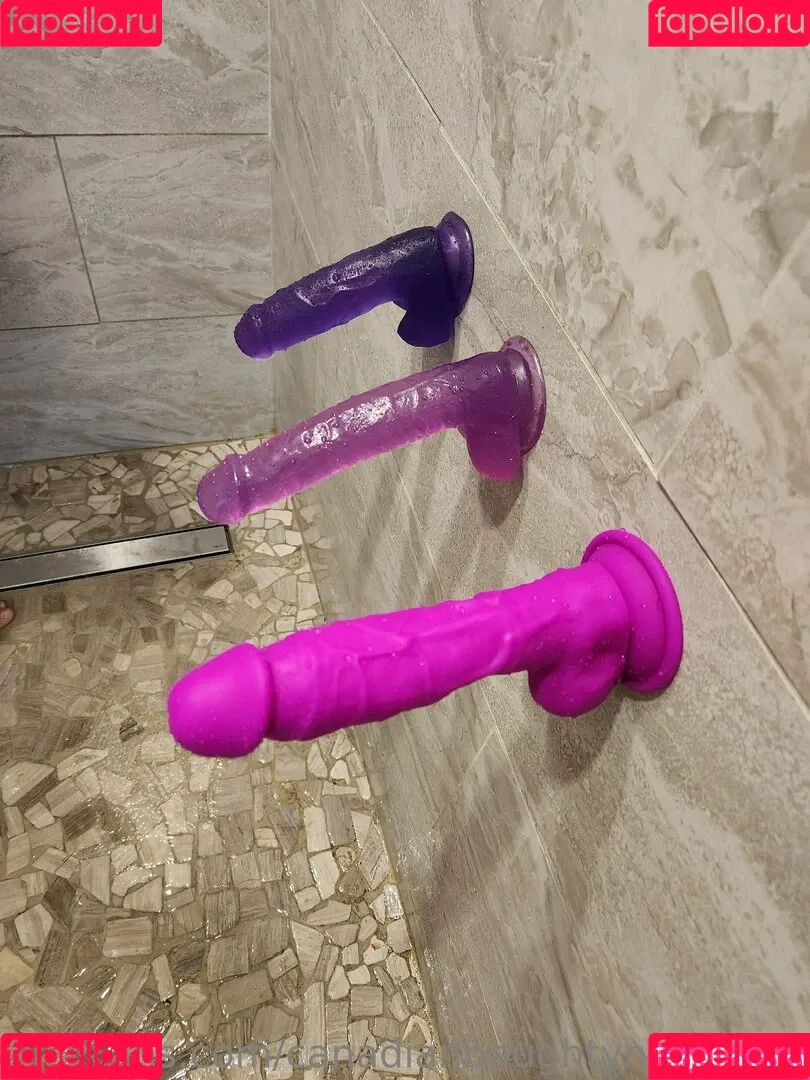 canadiannaughtyneighbour Onlyfans Photo Gallery 