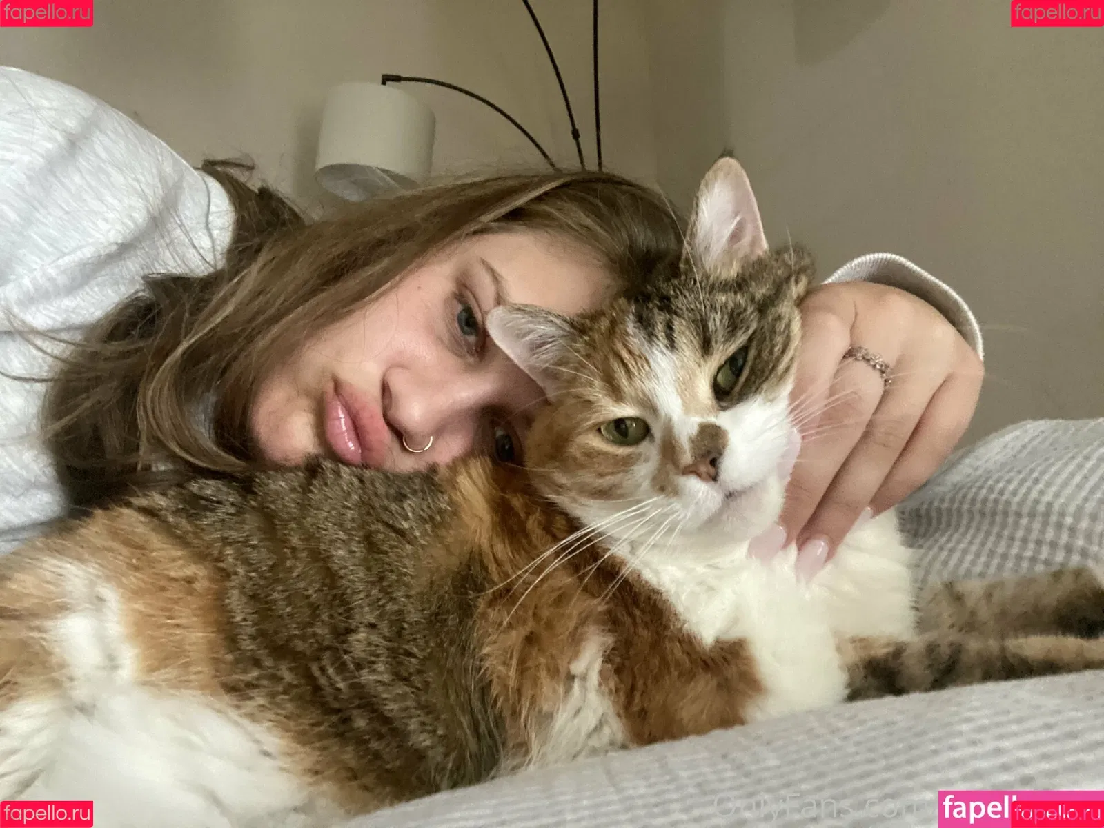 bellecreed Onlyfans Photo Gallery 