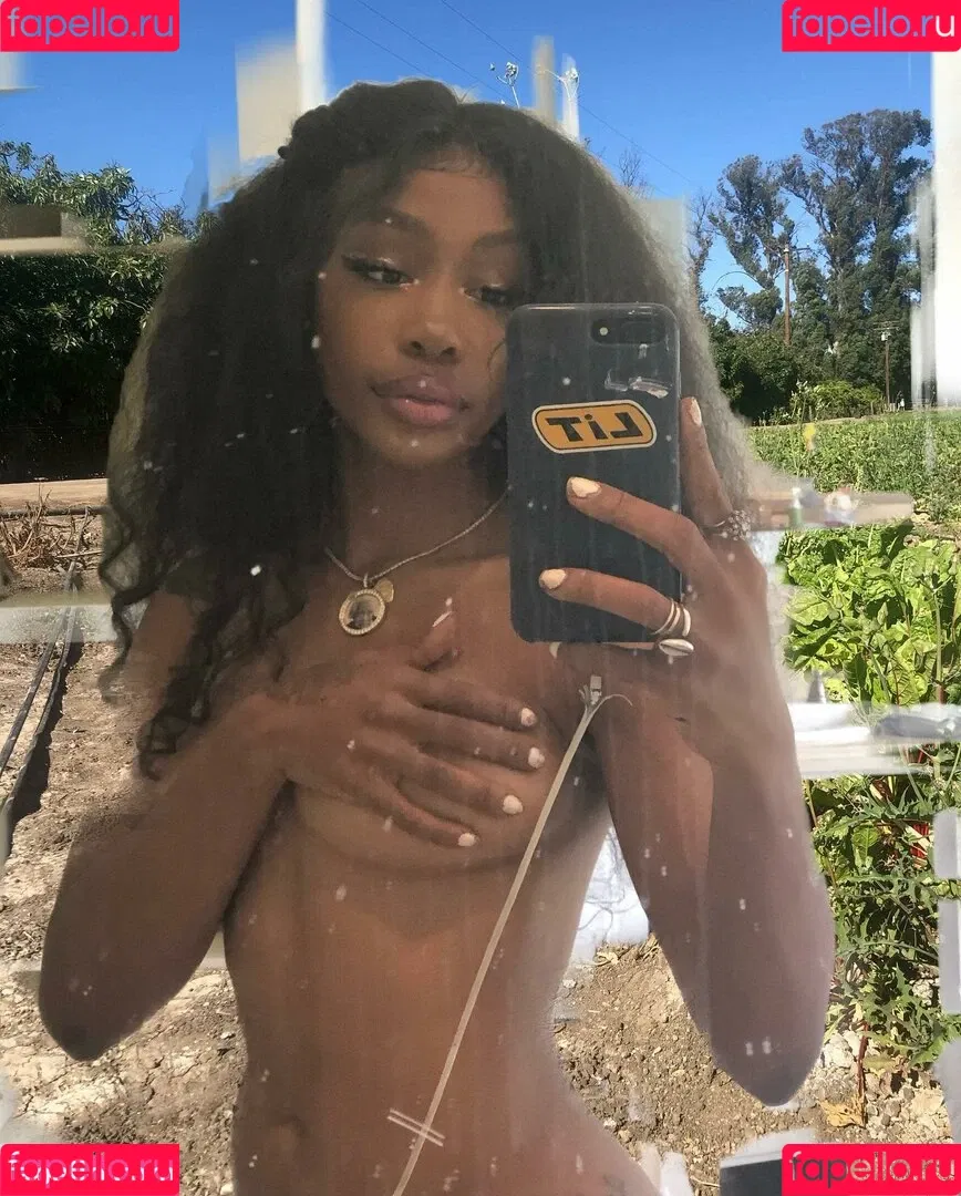 SZA Onlyfans Photo Gallery 