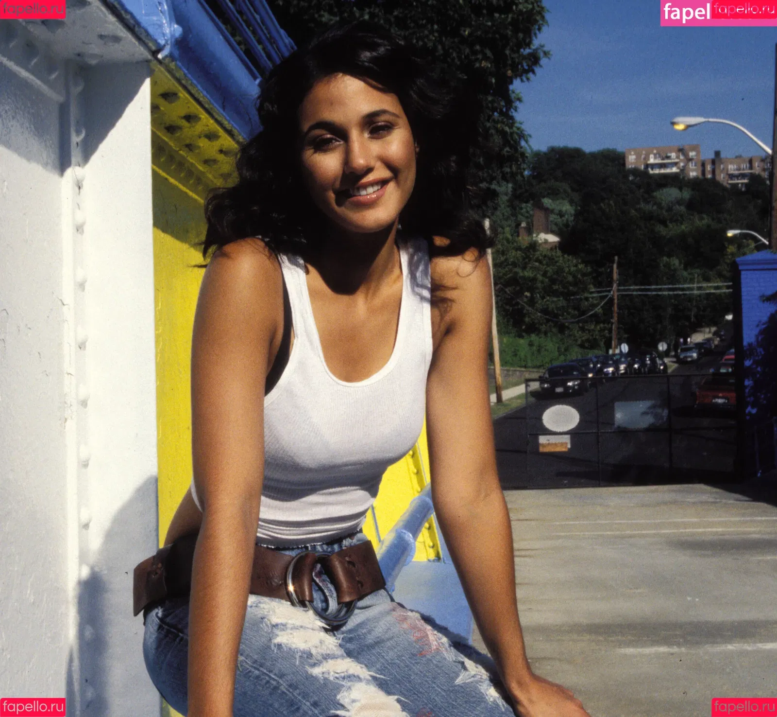 Emmanuelle Chriqui Onlyfans Photo Gallery 