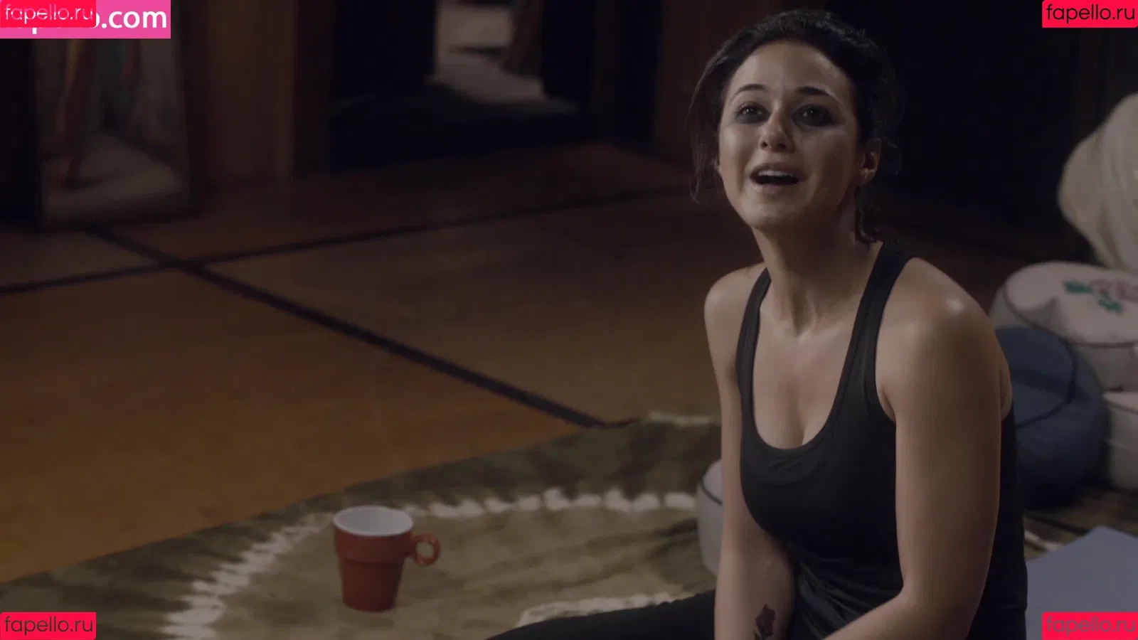 Emmanuelle Chriqui Onlyfans Photo Gallery 