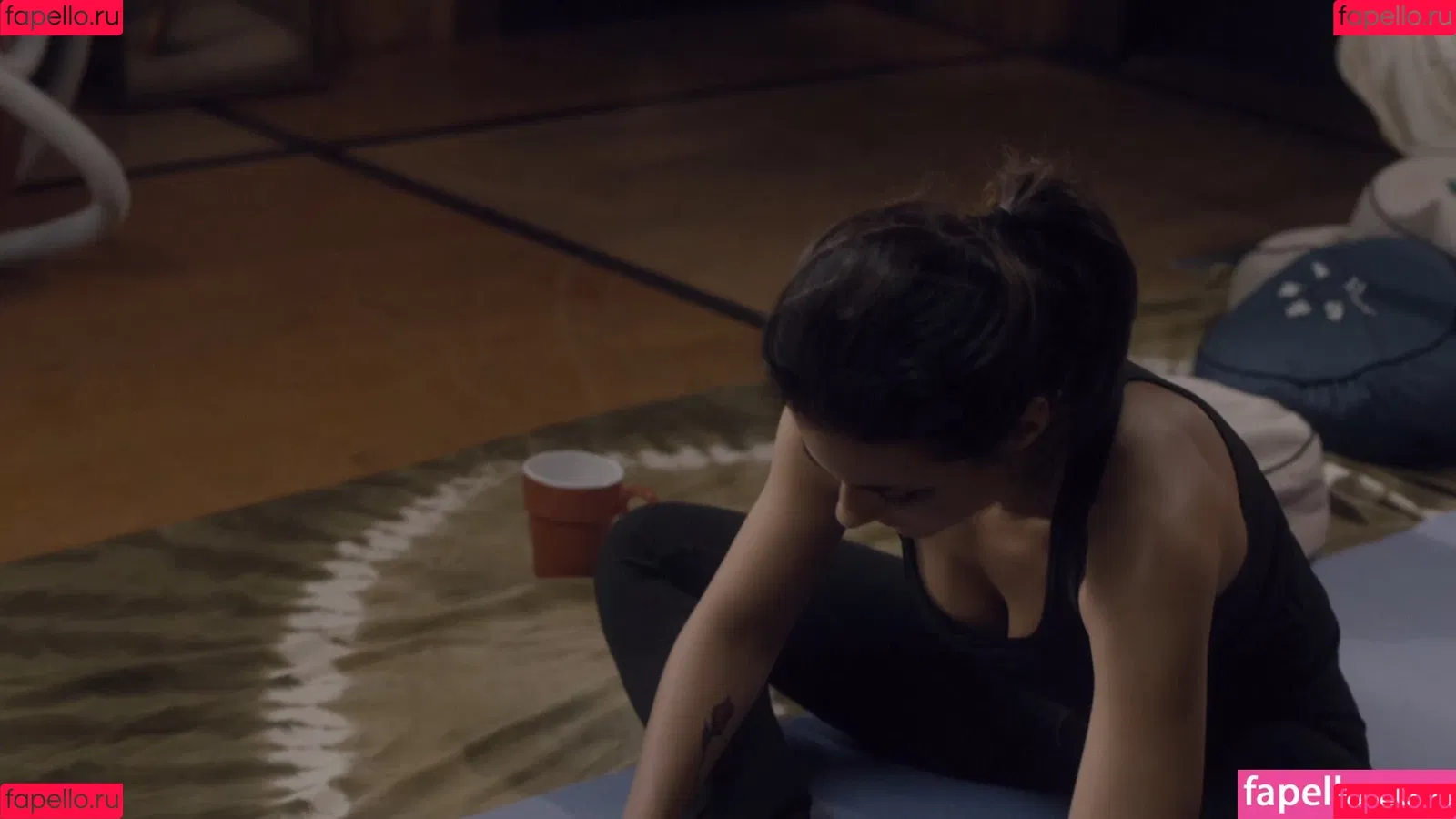 Emmanuelle Chriqui Onlyfans Photo Gallery 
