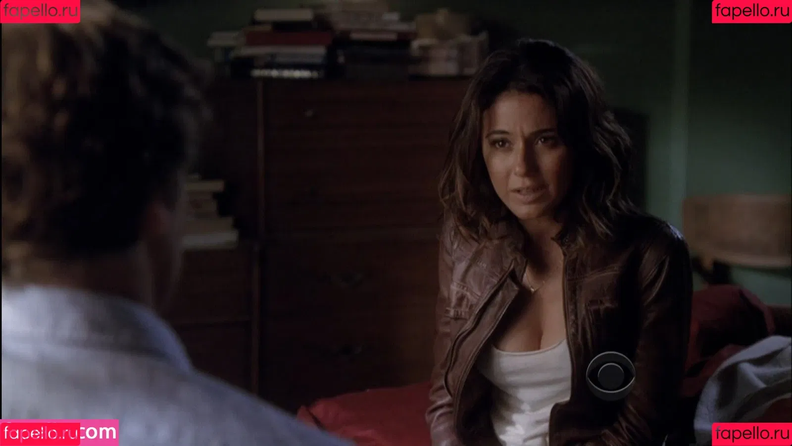 Emmanuelle Chriqui Onlyfans Photo Gallery 