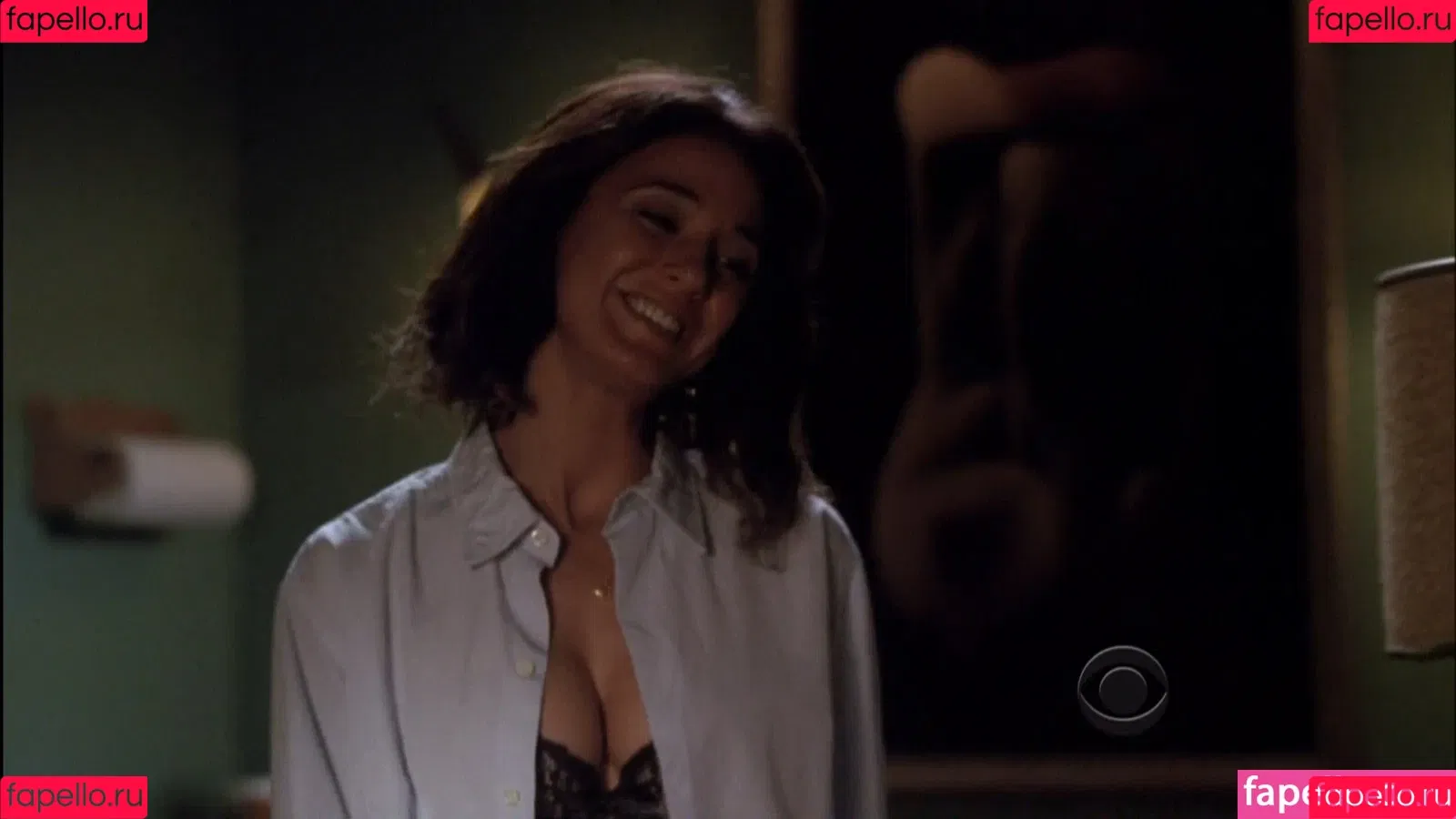 Emmanuelle Chriqui Onlyfans Photo Gallery 