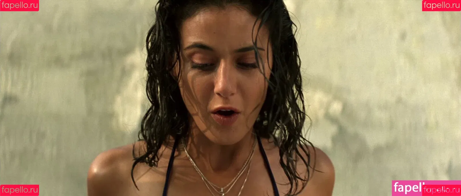 Emmanuelle Chriqui Onlyfans Photo Gallery 