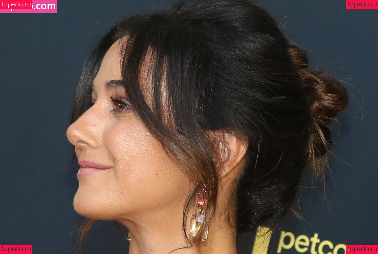 Emmanuelle Chriqui Onlyfans Photo Gallery 
