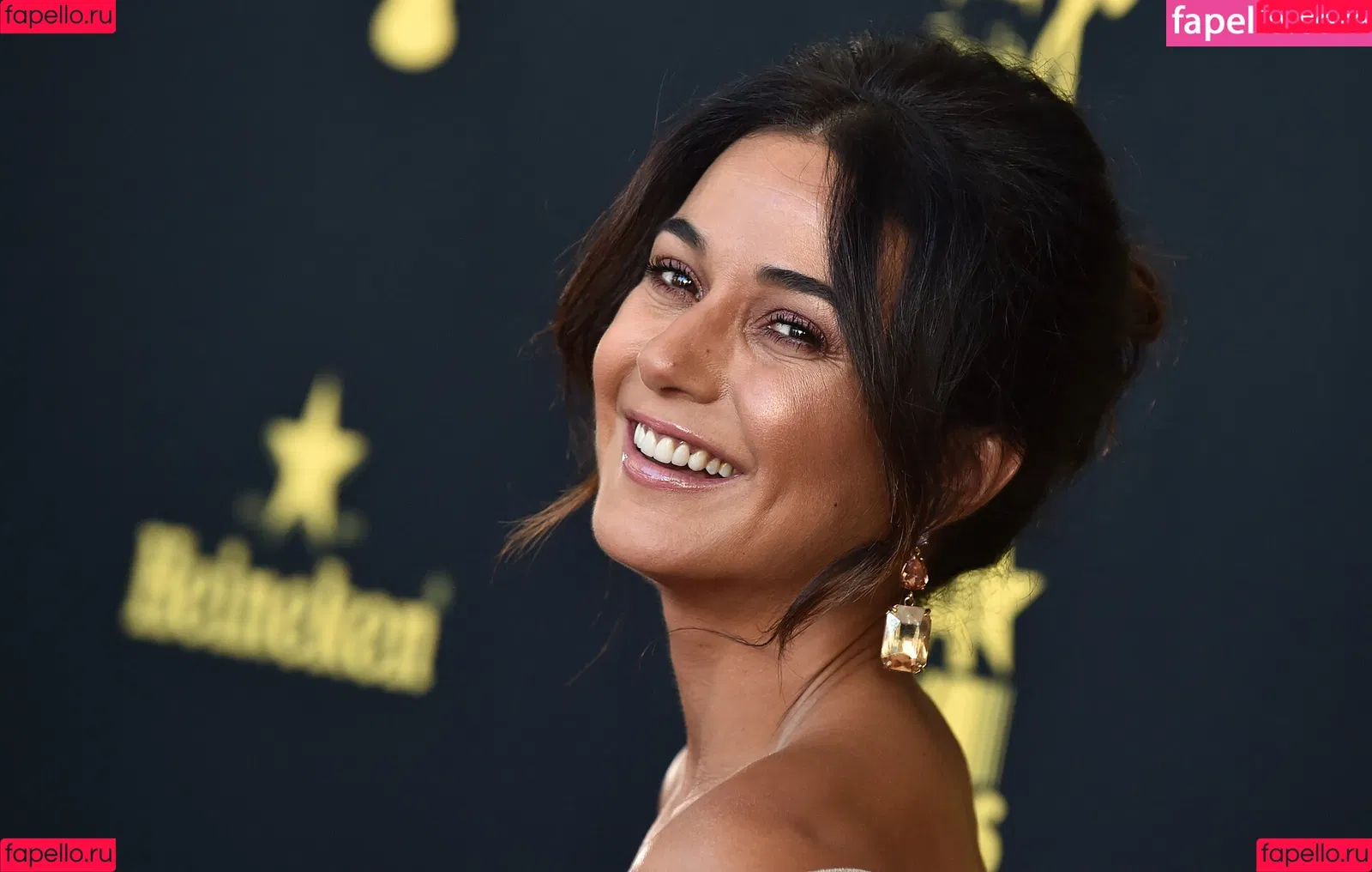 Emmanuelle Chriqui Onlyfans Photo Gallery 