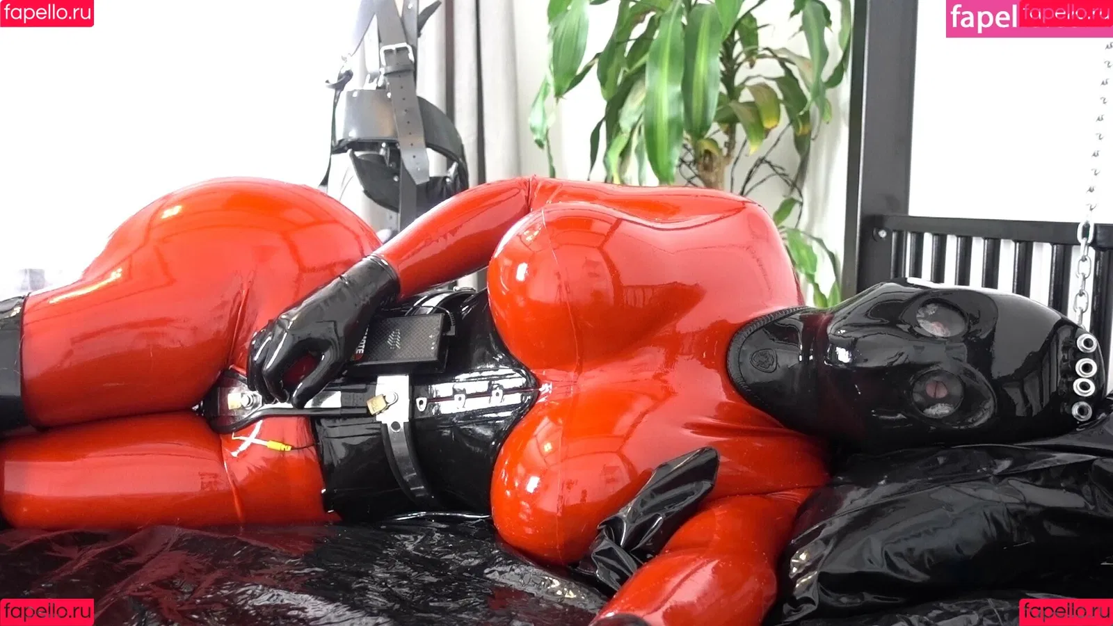 rubberdollemma Onlyfans Photo Gallery 