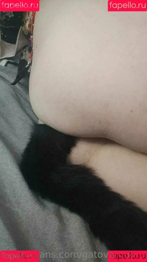 gatoverguero Onlyfans Photo Gallery 