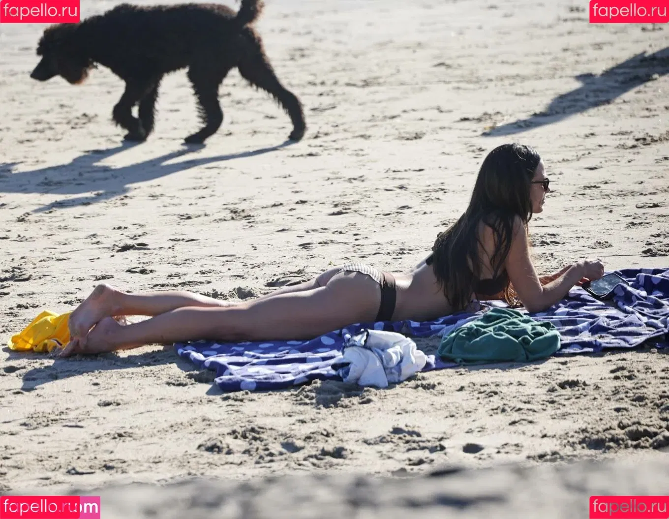 Jordana Brewster Onlyfans Photo Gallery 