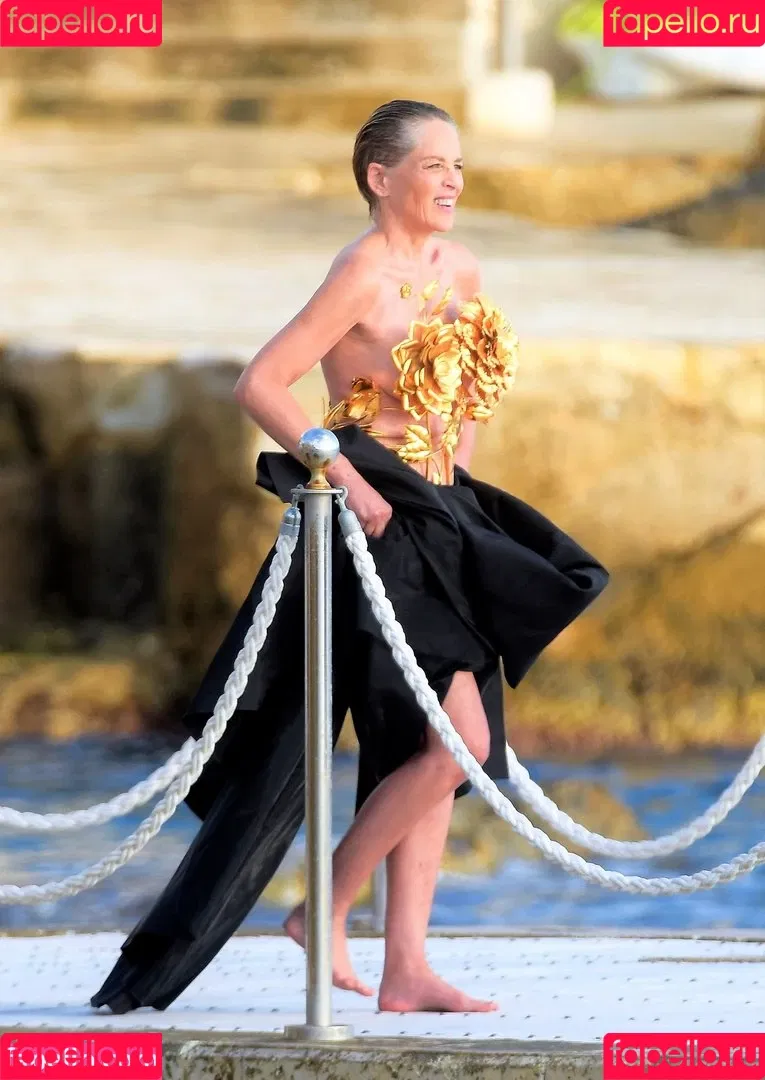 Sharon Stone Onlyfans Photo Gallery 