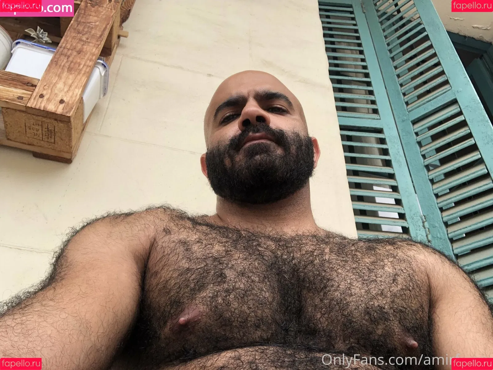 amir_hairyalpha Onlyfans Photo Gallery 