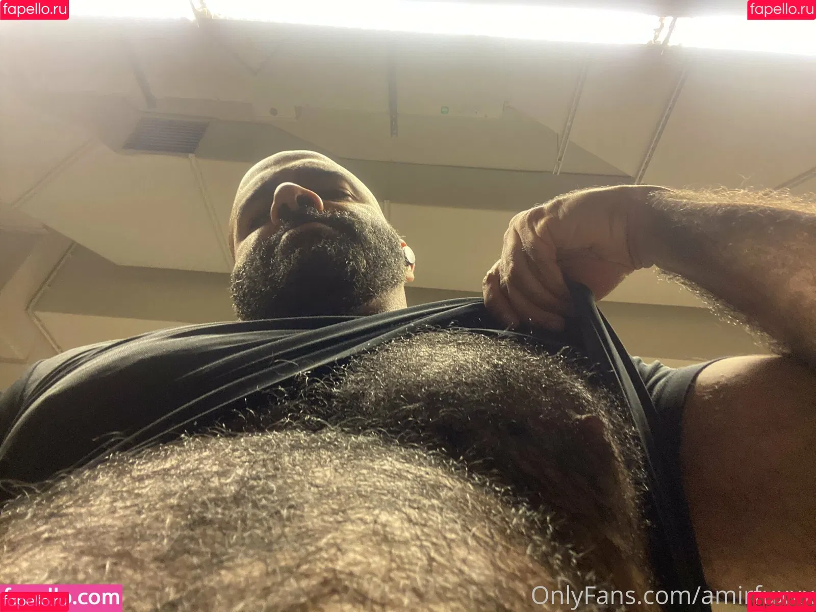 amir_hairyalpha Onlyfans Photo Gallery 