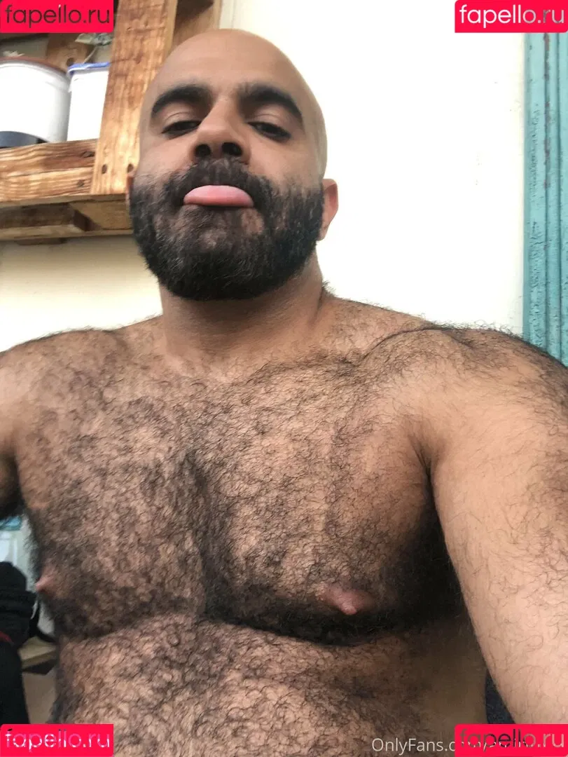 amir_hairyalpha Onlyfans Photo Gallery 