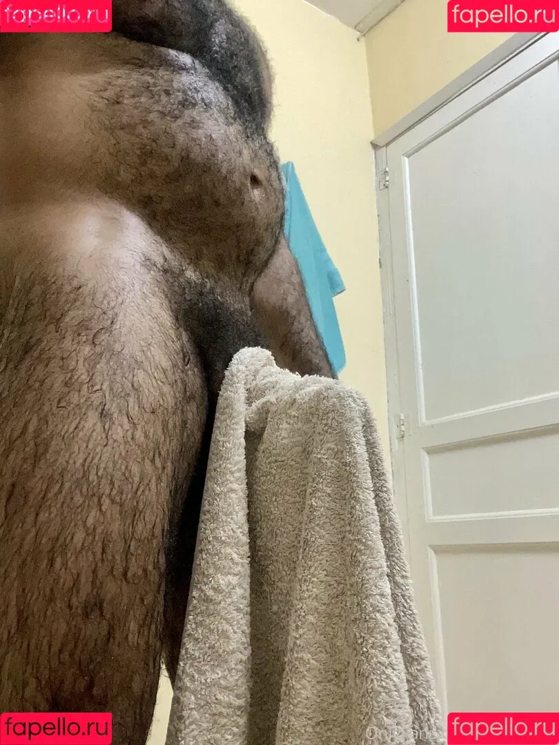 amir_hairyalpha Onlyfans Photo Gallery 