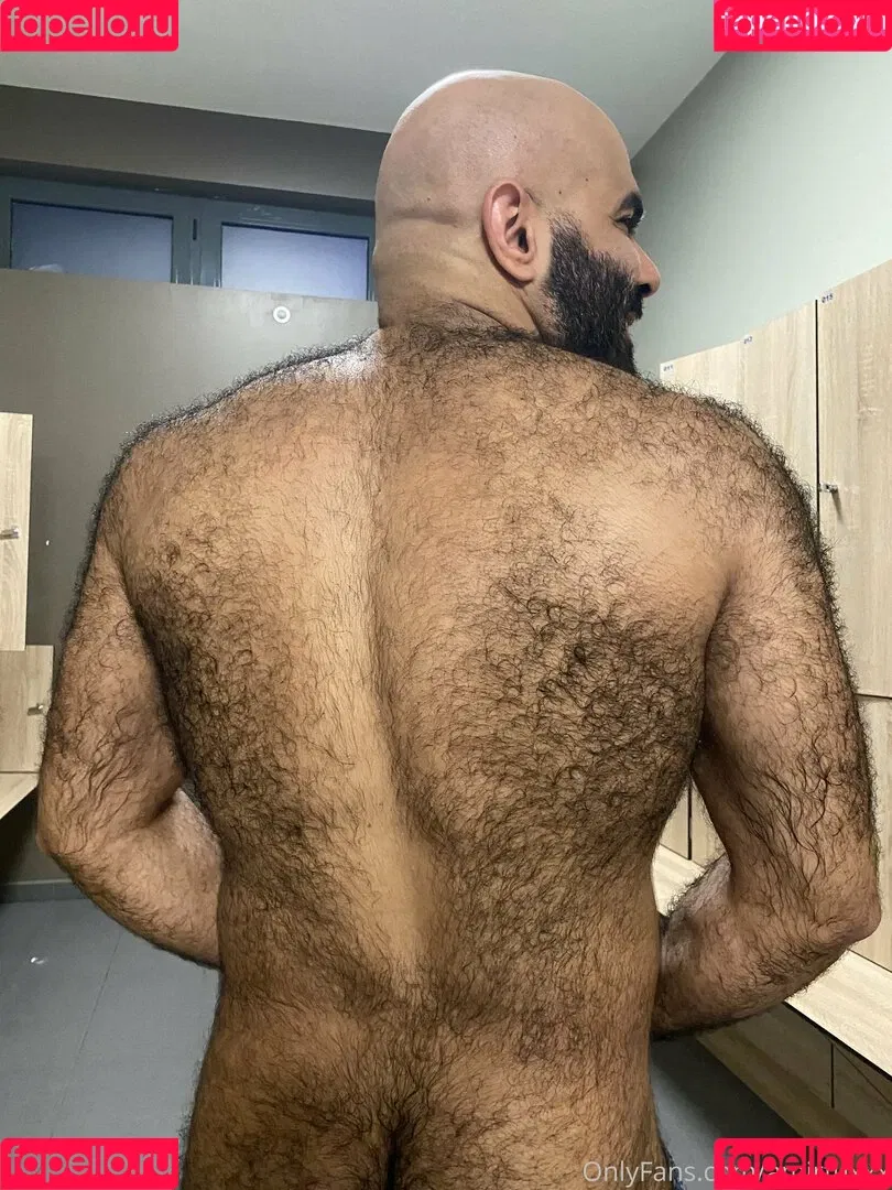 amir_hairyalpha Onlyfans Photo Gallery 