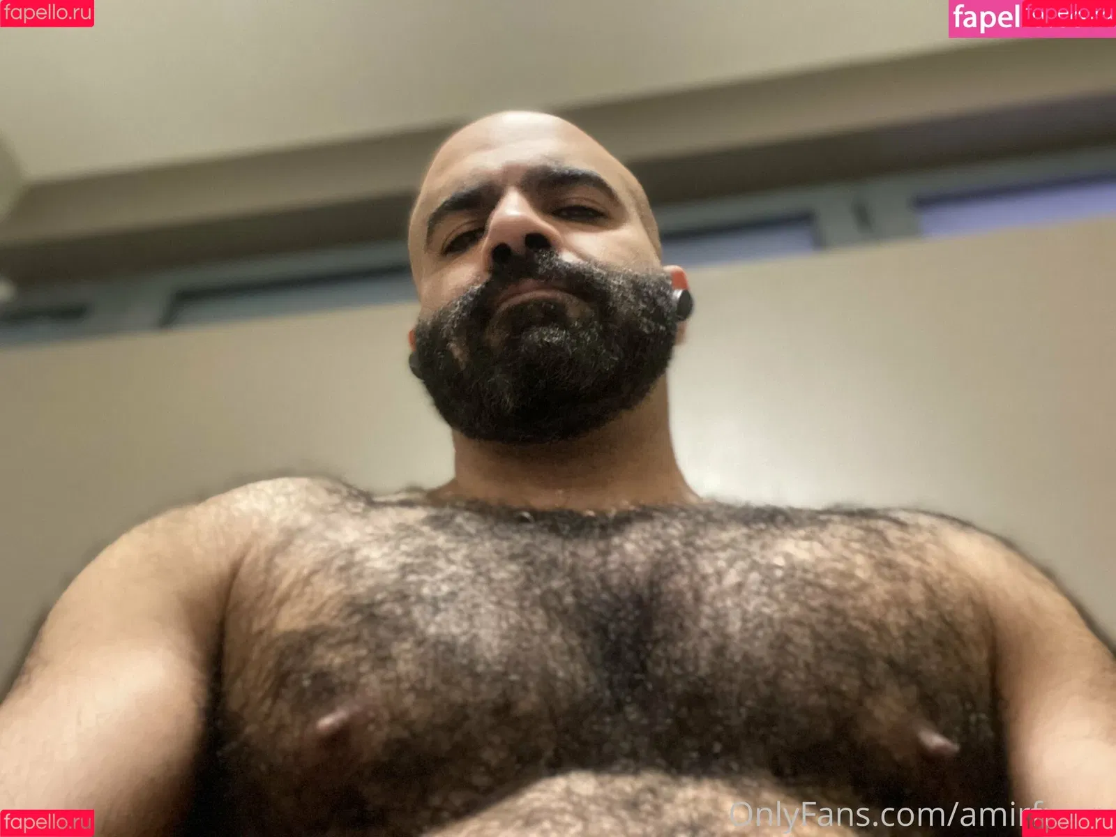 amir_hairyalpha Onlyfans Photo Gallery 