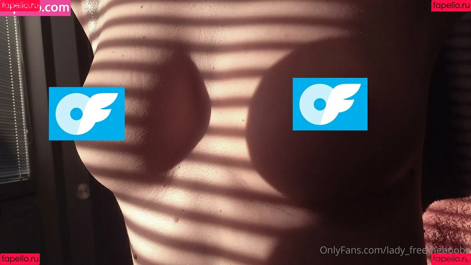 lady_freetheboobs Onlyfans Photo Gallery 