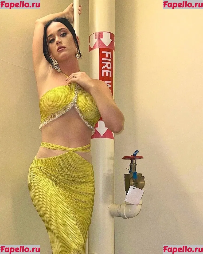 Katy Perry Onlyfans Photo Gallery 