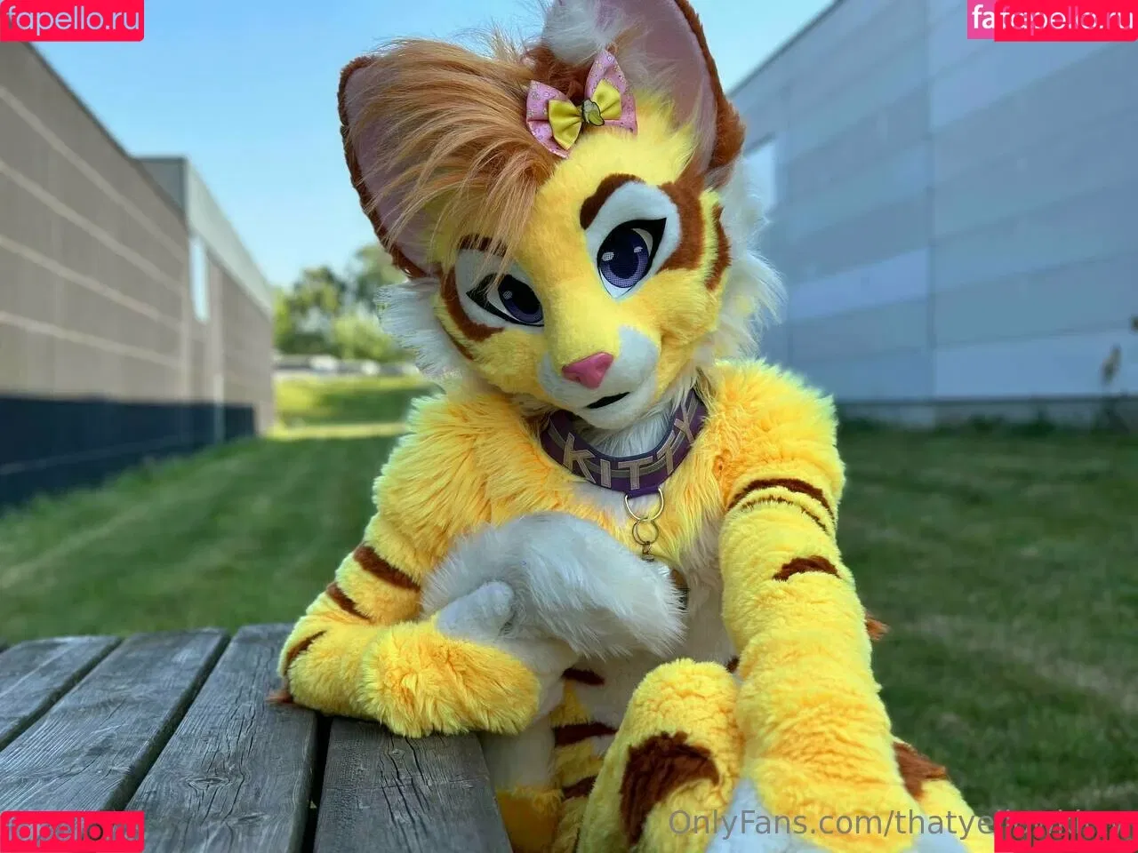 thatyellowkitty Onlyfans Photo Gallery 