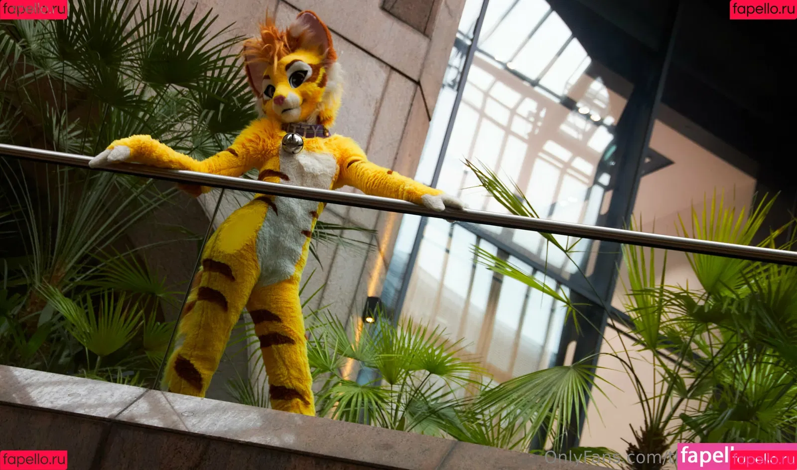 thatyellowkitty Onlyfans Photo Gallery 