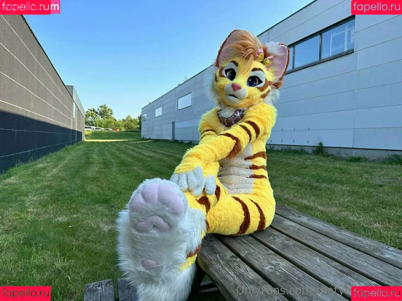 thatyellowkitty Onlyfans Photo Gallery 