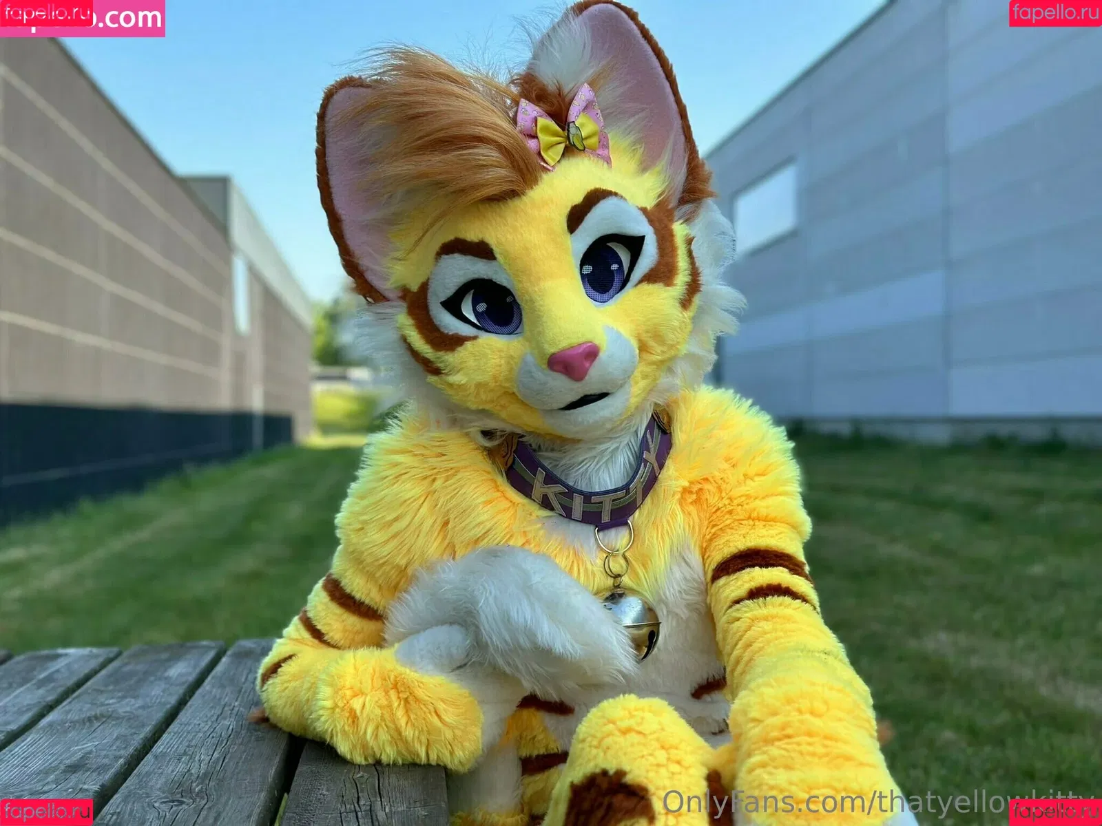thatyellowkitty Onlyfans Photo Gallery 