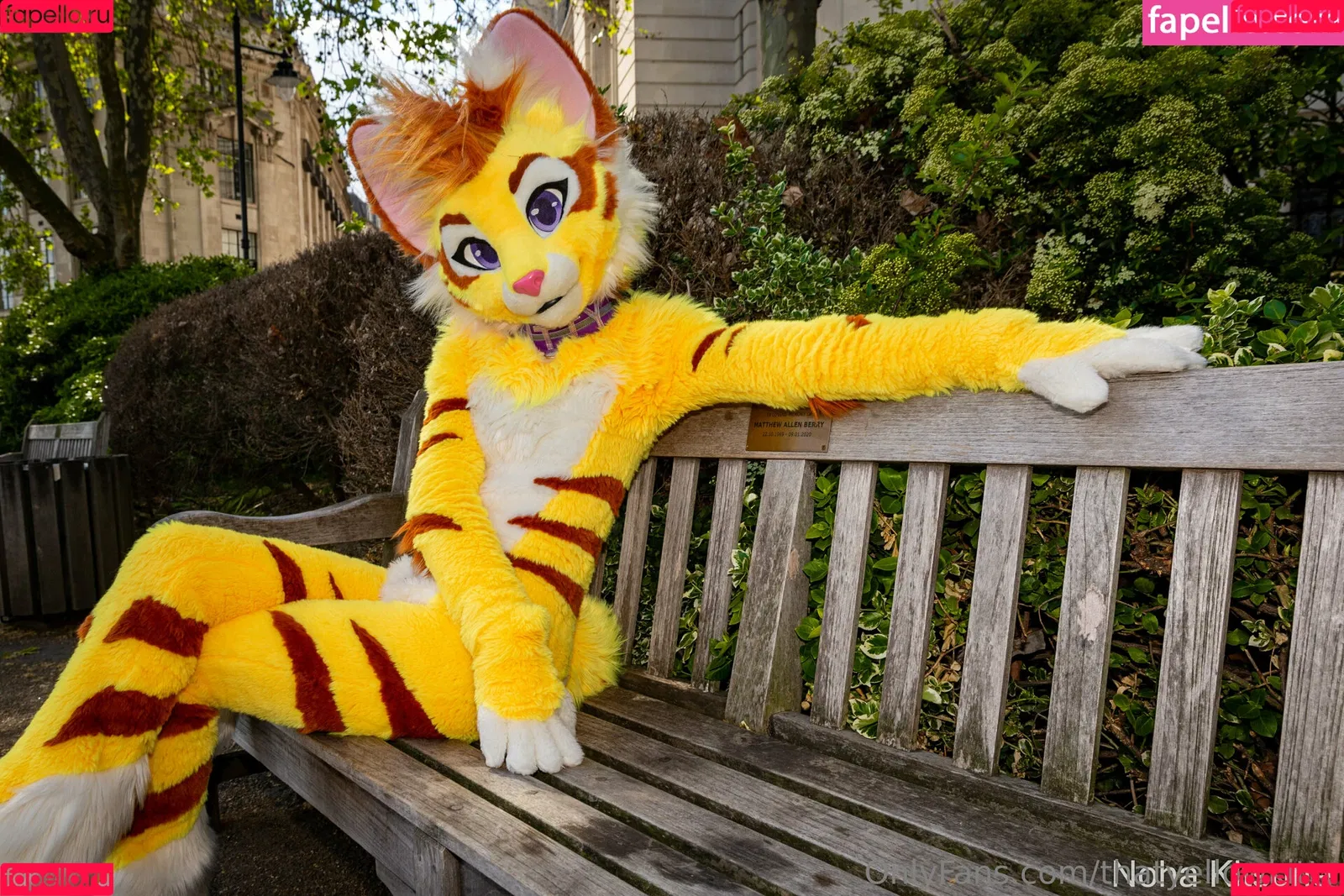 thatyellowkitty Onlyfans Photo Gallery 