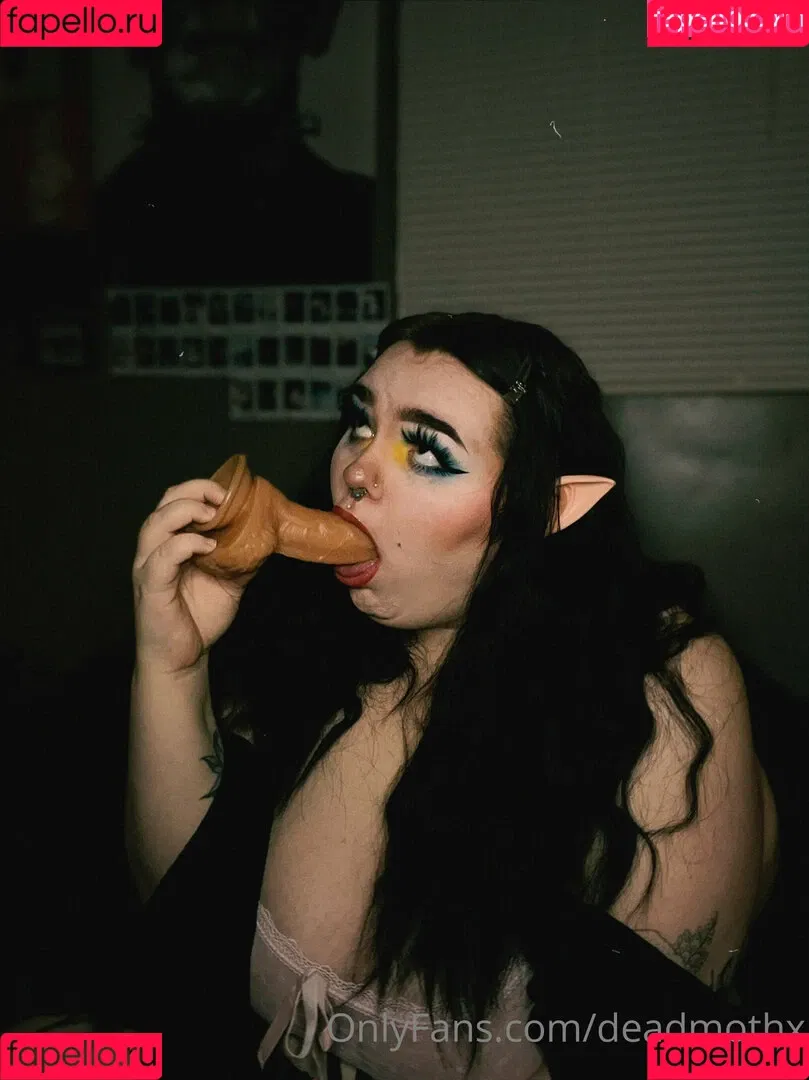 brattyfern Onlyfans Photo Gallery 