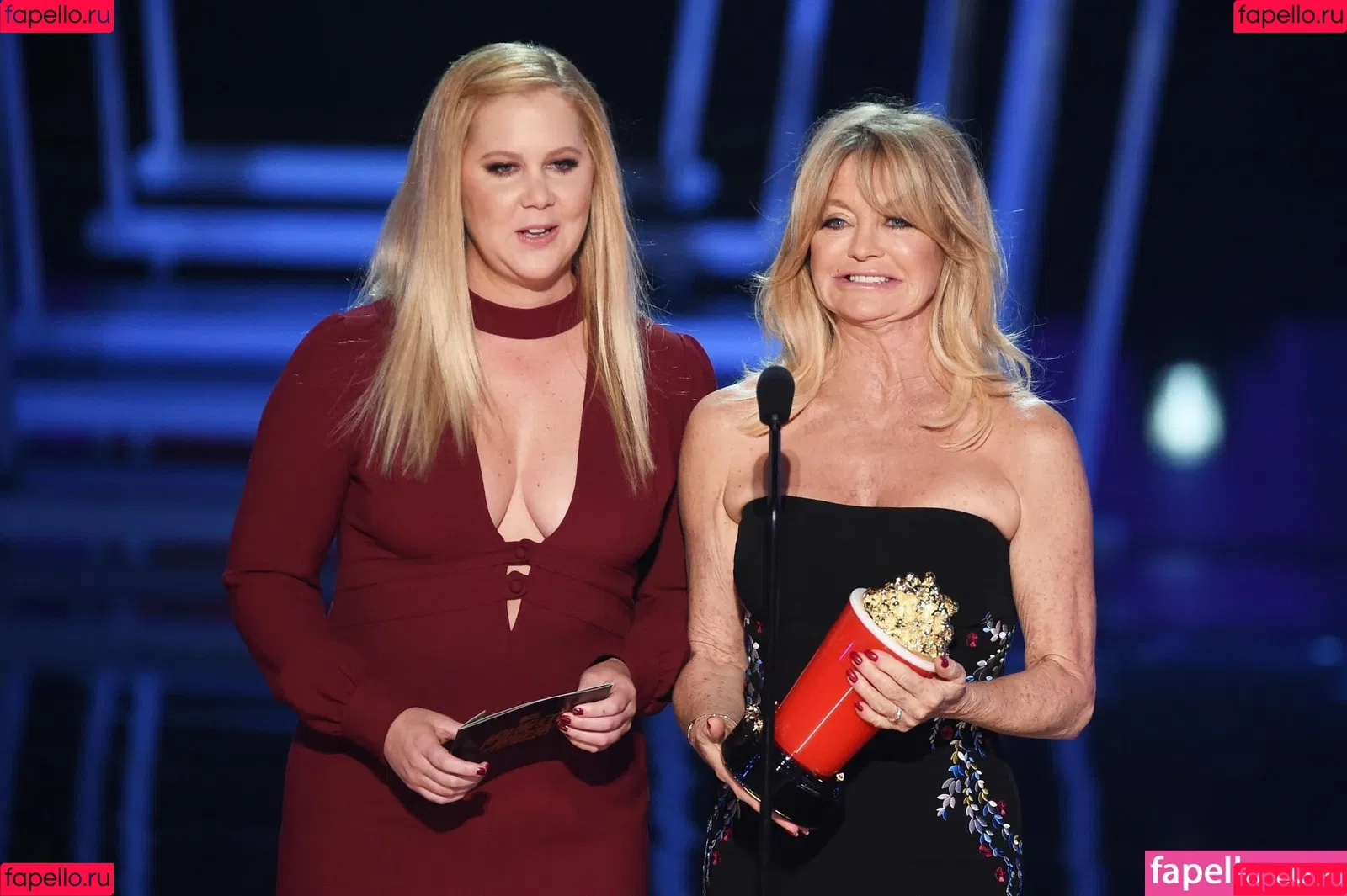 Amy Schumer Onlyfans Photo Gallery 