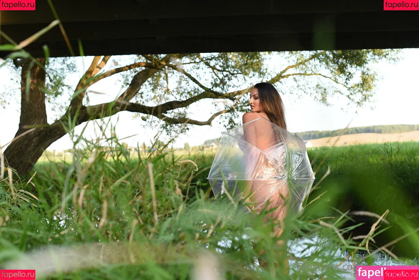 ksy_lioness Onlyfans Photo Gallery 