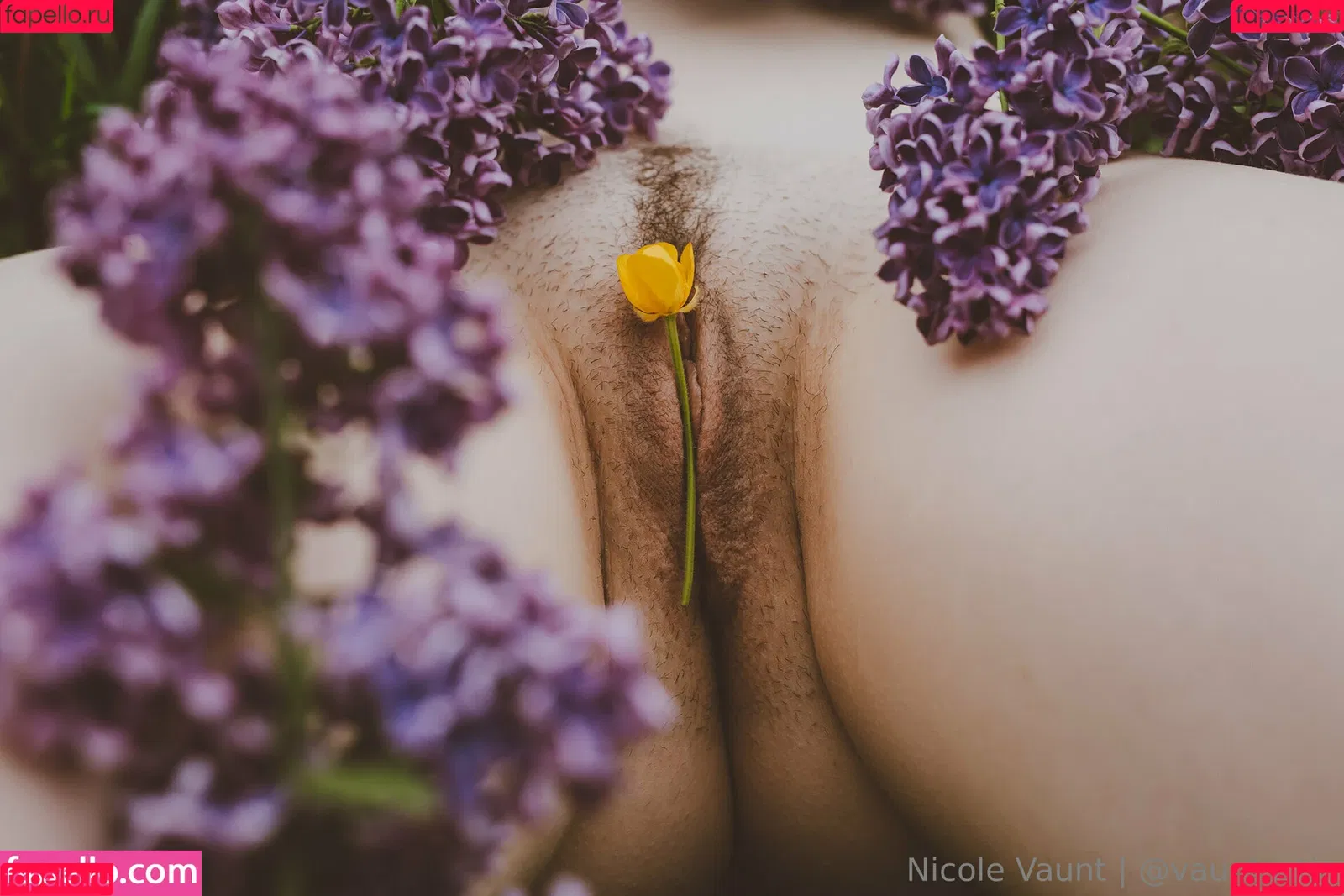vauntastic Onlyfans Photo Gallery 